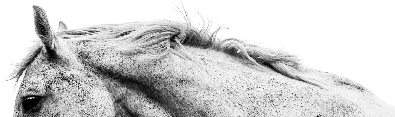 bottom-image